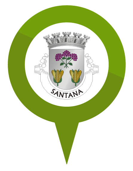 Pin - CM Santna Pin